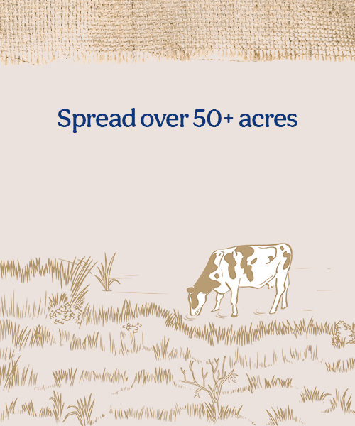 Spread over 50+ Acres