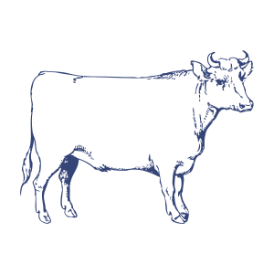 Breed Development